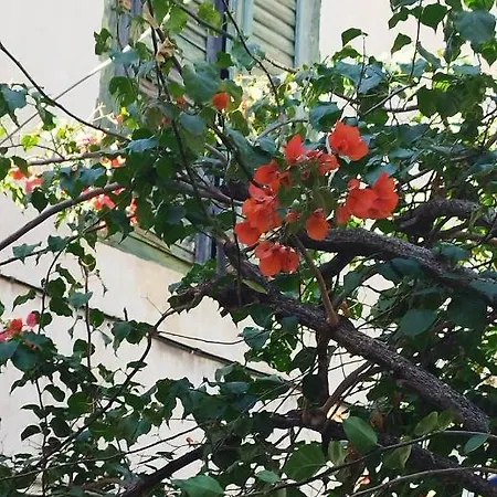 아파트 Didis Place