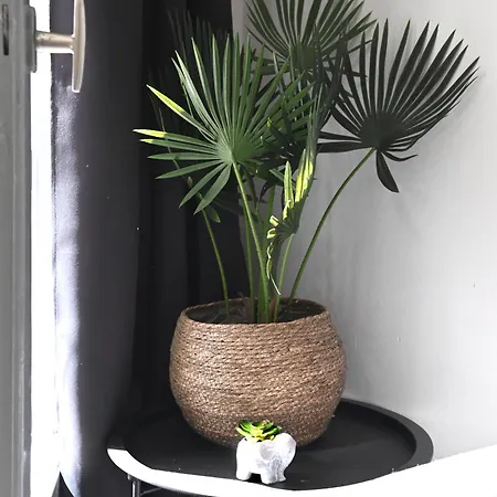 아파트 Didis Place