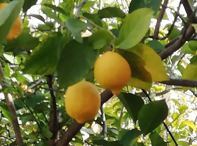 Didis Place Apartamento