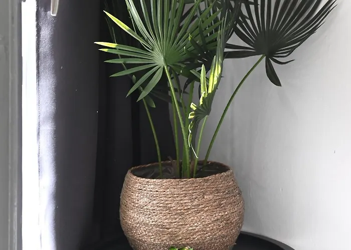 Apartamento Didis Place