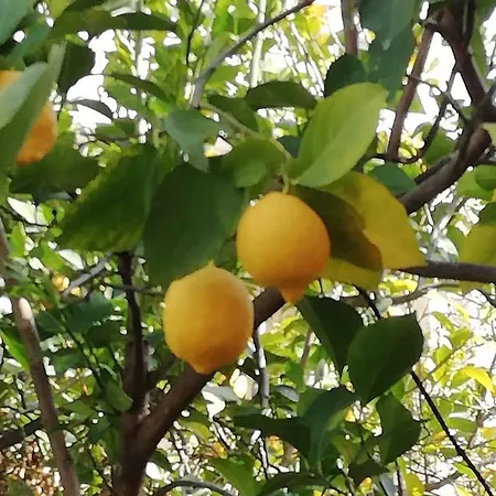 Didis Place Апартаменты